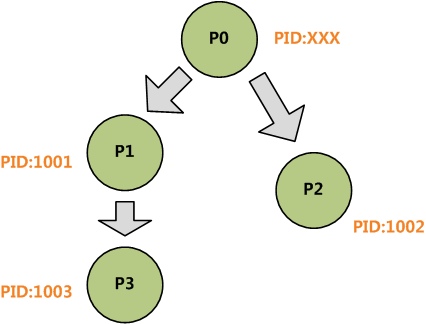 process fork