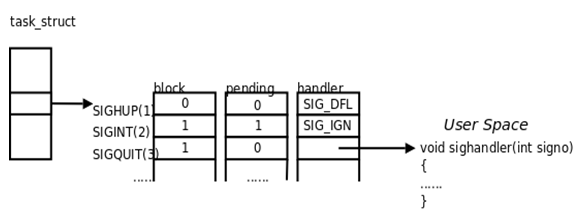 signal task structure