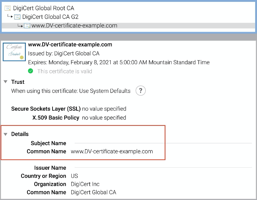 ca certificates type DV