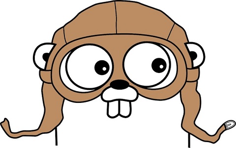 GoLang Logo